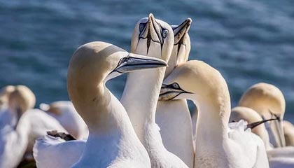 九游体育网址-费城76人总经理对未来转会市场信心十足，期待爆发，费城76人队百科