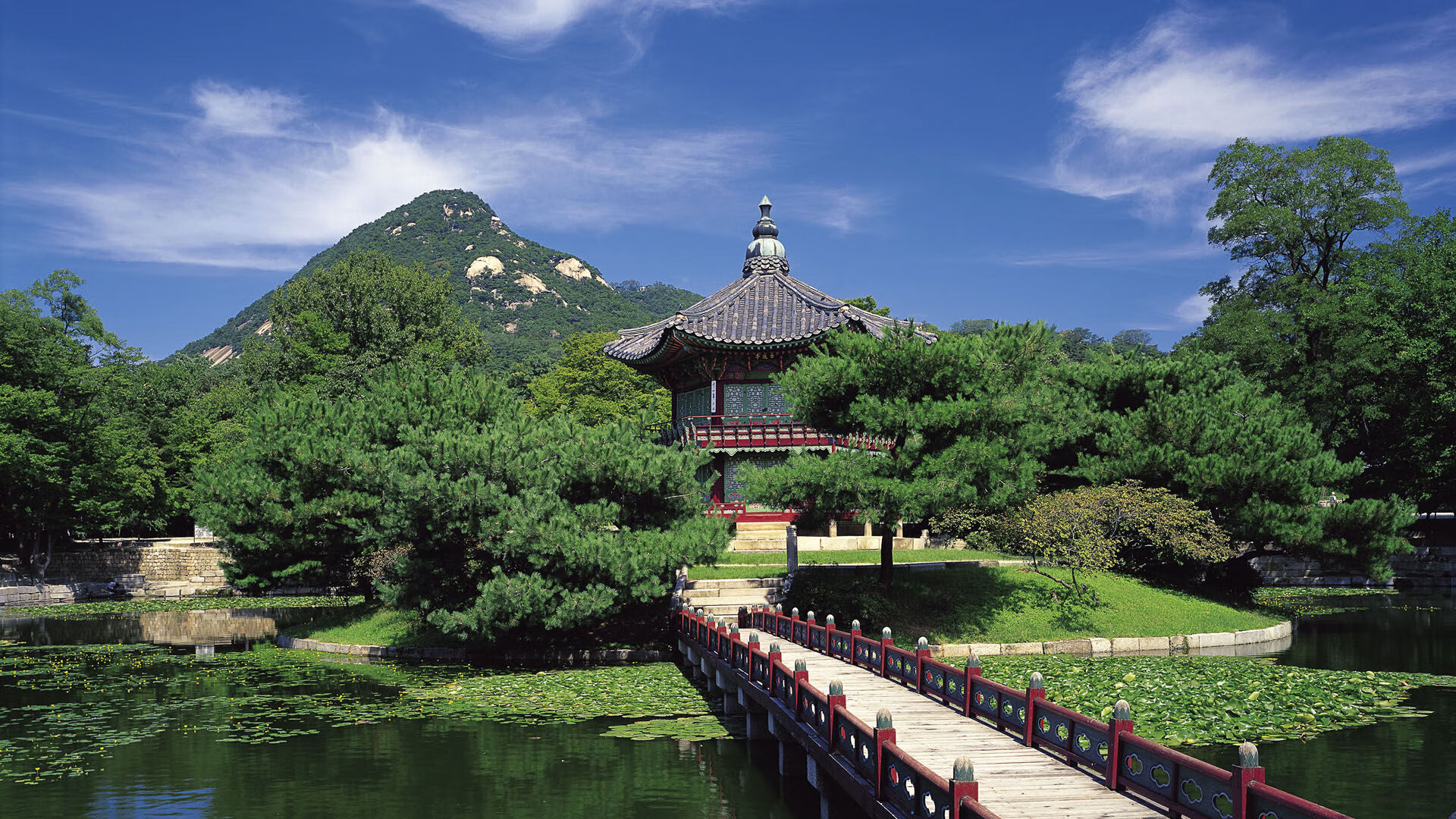 九游APP-川崎前锋冲击J联赛冠军，川崎前锋首发阵容