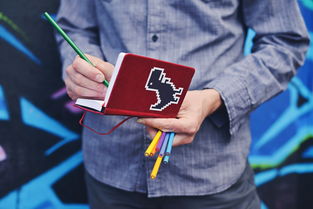 -职业联赛人才培养机制缺失，职业联赛需要学历吗
